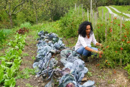 Especialista Em Jardinagem Compartilha Erros De Iniciantes Um Deles