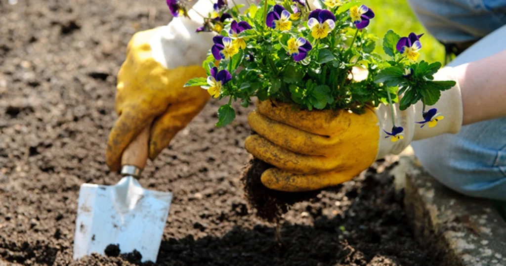 The current image has no alternative text. The file name is: SOROR-WEB-52.webp